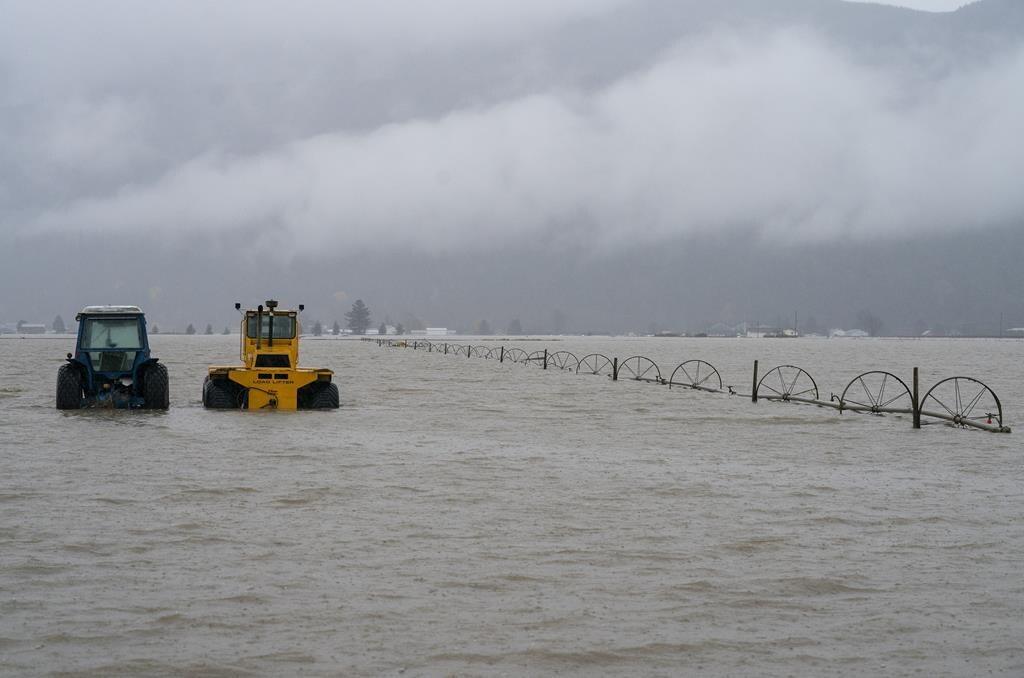 repair-of-abbotsford-dike-breached-in-2021-b-c-flood-to-finish-this-month-minister