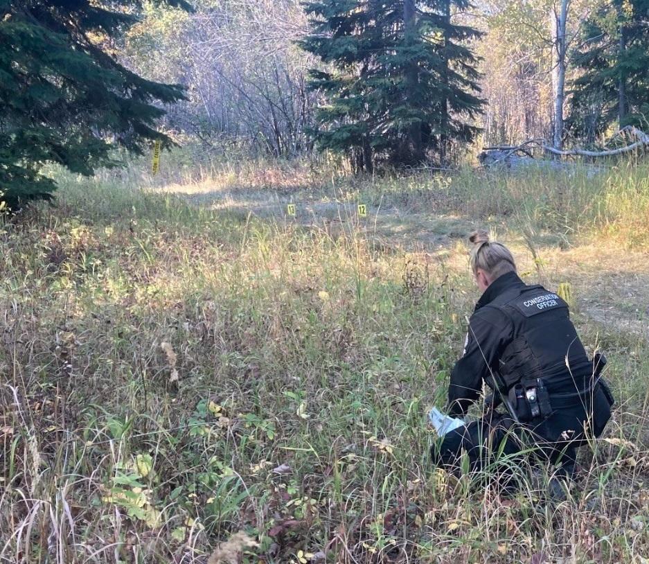 bccos-investigating-after-3-people-injured-in-a-bear-attack