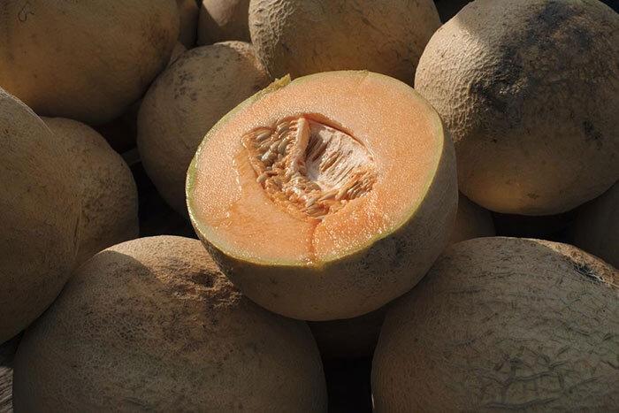 malichita-cantaloupes-likely-cause-of-salmonella-outbreak-in-five-provinces-phac