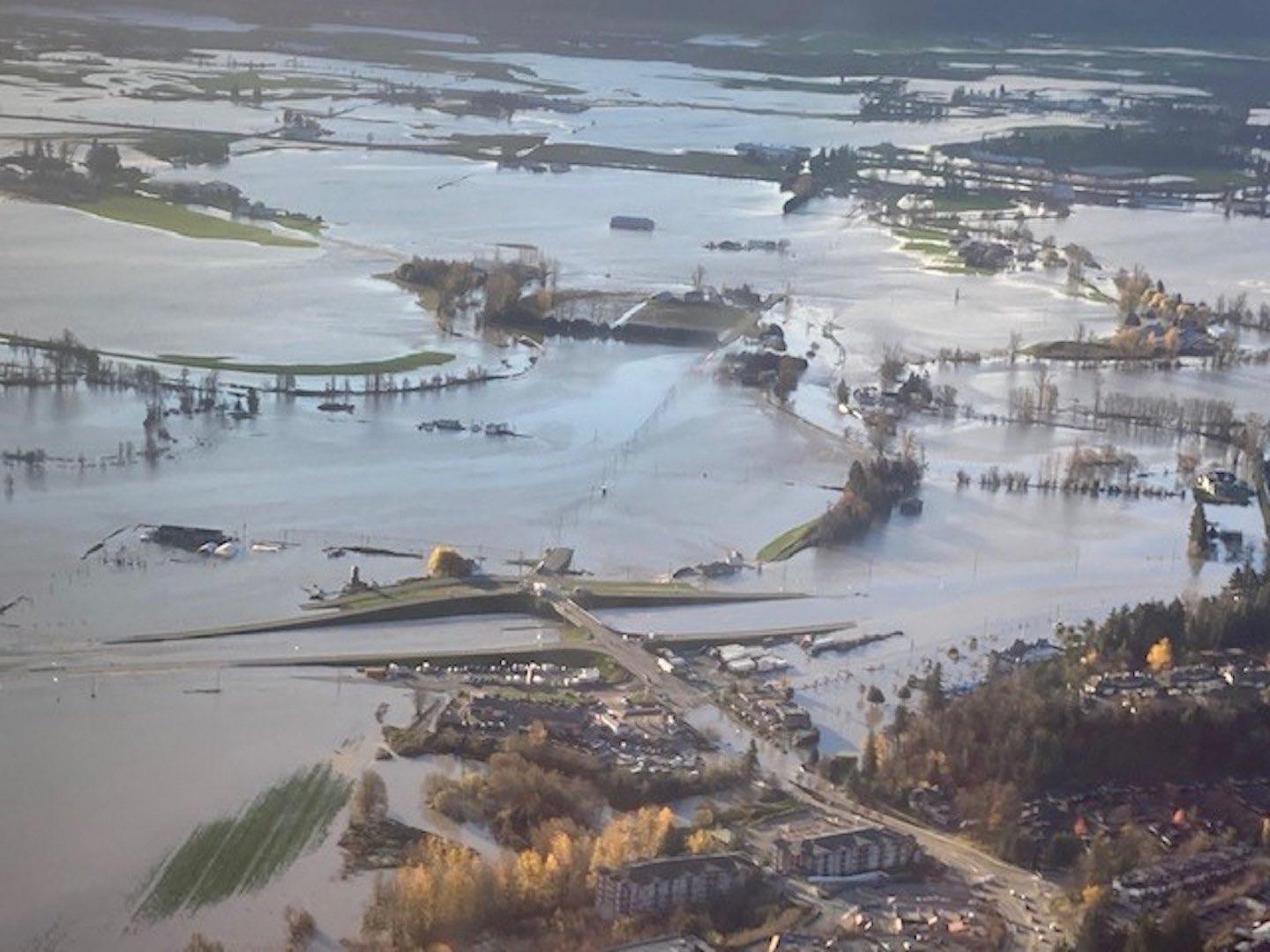 group-representing-bc-dairy-farmers-says-efforts-to-rescue-livestock-from-flooded-areas-becoming-time-consuming-and-stressful