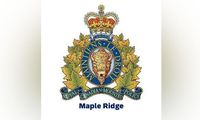 multiple-arrests-made-as-rcmp-execute-coordinated-raids-in-maple-ridge