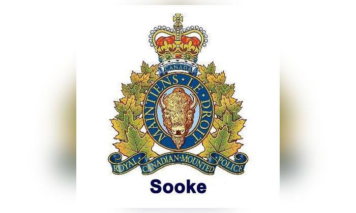 sooke-rcmp-seek-public-help-to-identify-suspects-in-counterfeit-currency-case